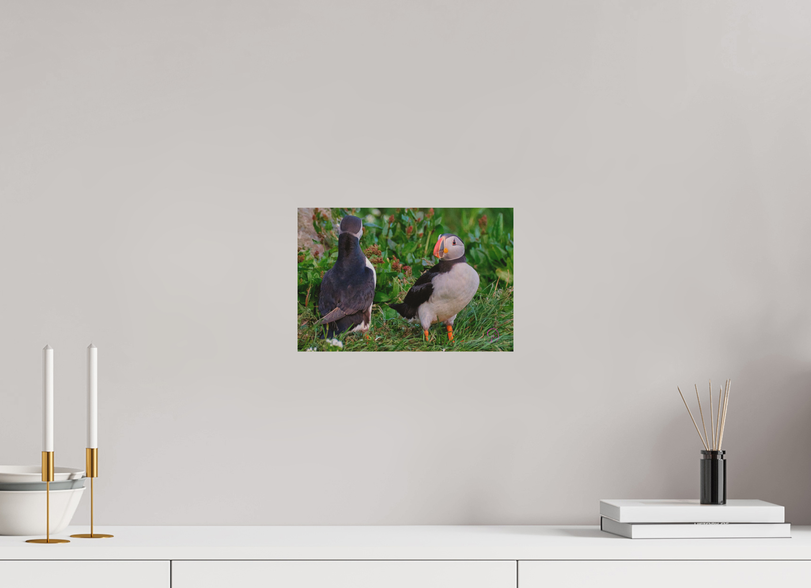 30 x 20 cm, Druck auf Holz Puffin 2
