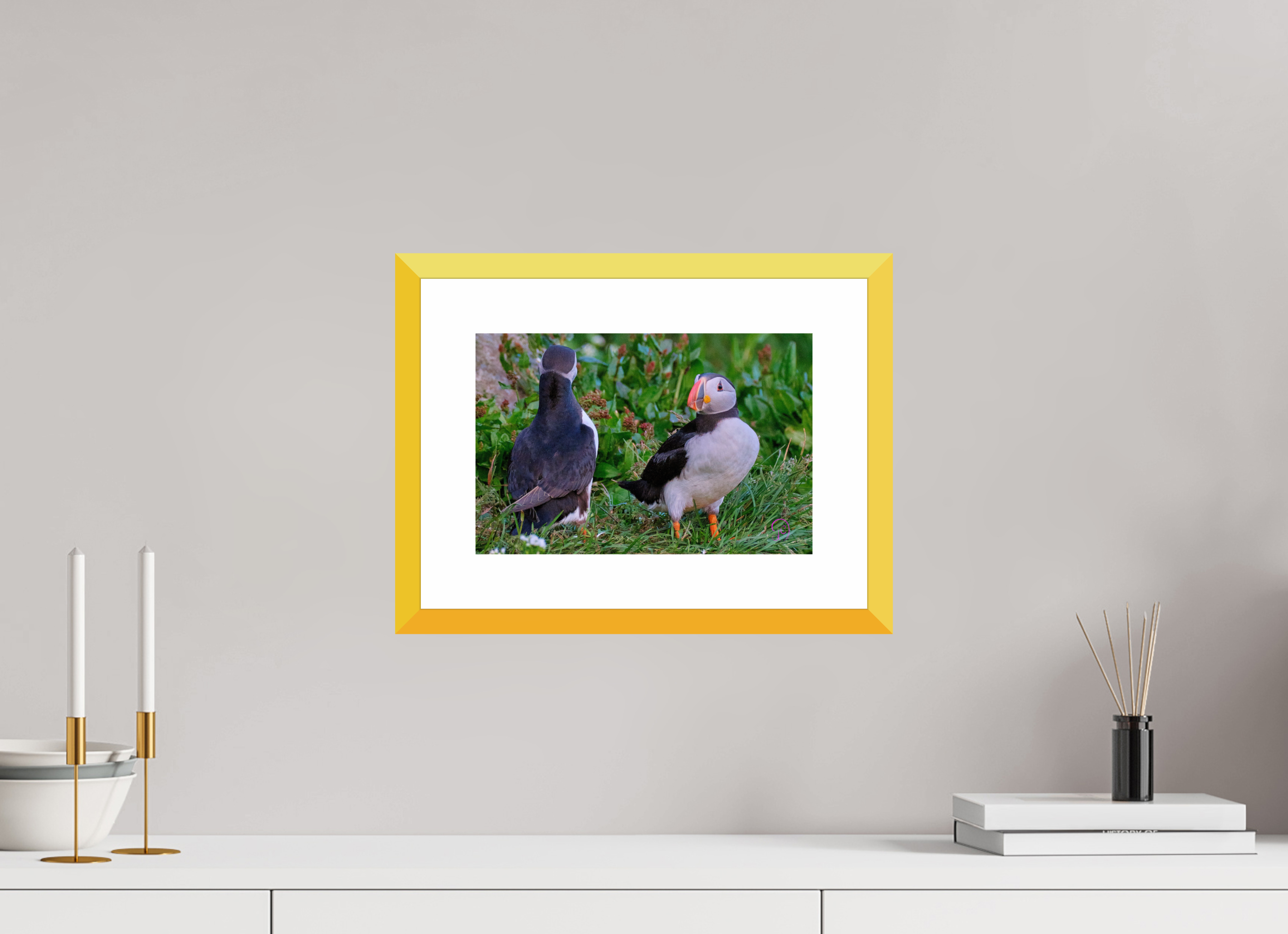 30 x 20 cm, Fine Art alu dibond, Rahmen gelb, 5cm weissrand Puffin 2